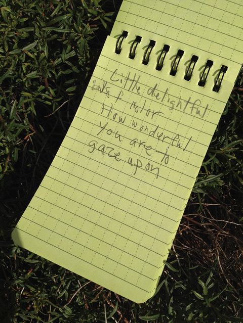 Guests created poetry in response to art and nature Poetry of the Spheres