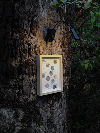 Quiet paintings in the night Poetry of the Spheres