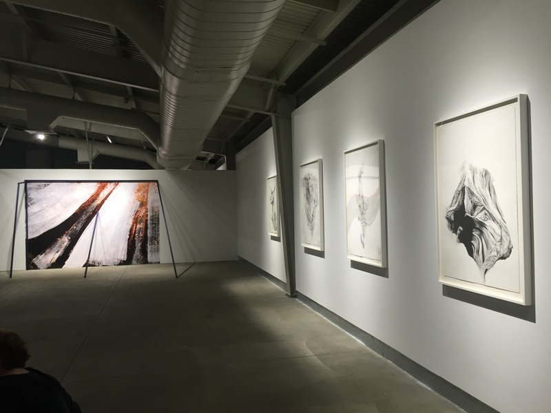 Everything I've Known I Have Forgotten Cybele Lyle Radical Landscapes at di Rosa