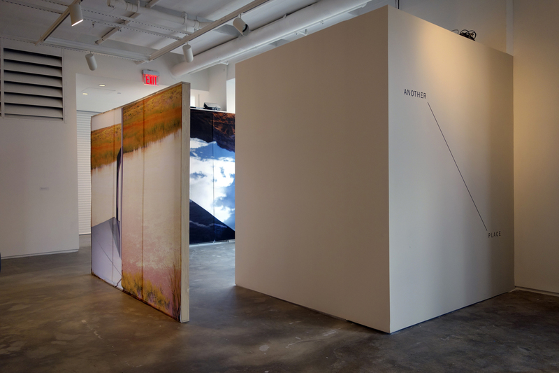 Tomorrow See the Things That Never Come Today Cybele Lyle Another Place at Hunter College Art Gallery