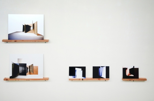 Cybele Lyle : Work : Several Species of Small Furry Animals Gathered