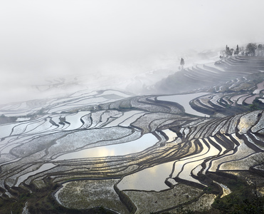 Rice Terraces, (Duoyishu), Yunnan, China, 2013