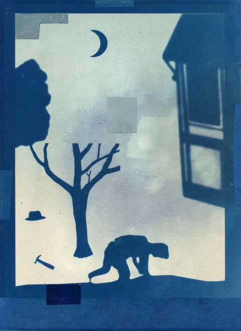 Falling Cyanotypes cyanotype
