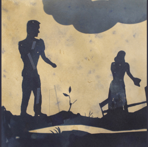 Interrupted Cyanotypes cyanotype
