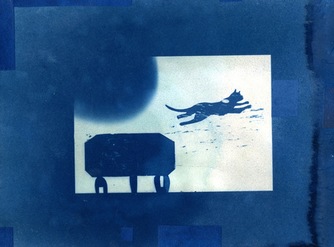 Leap Cyanotypes cyanotype