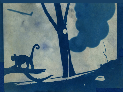 In the Wild Cyanotypes cyanotype