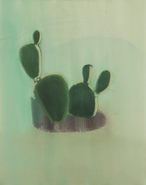 Never Trust a Cactus David Jacobs Paintings oil on panel