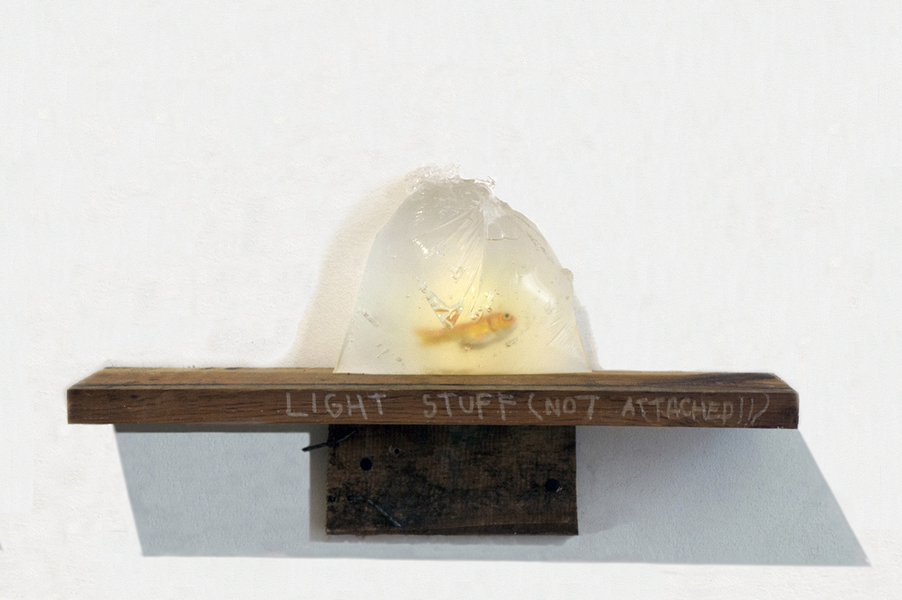 Hipster Aquarium David Jacobs Sculptures wooden shelf, acrylic paint on plastic fish, rubber shaped as a bag