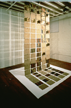Trace, Installation View Deborah Davidson Selected Past Work Mixed-Media