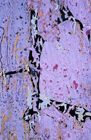 Glyph Series: How Much, detail Deborah Davidson Selected Past Work Acrylic on Wood
