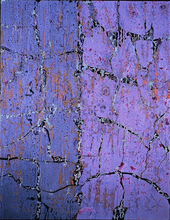 Glyph Series: How Much Deborah Davidson Selected Past Work Acrylic on Wood