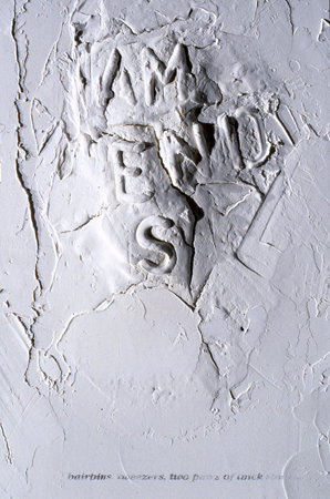 Aperture, installation detail Deborah Davidson Selected Past Work Plaster