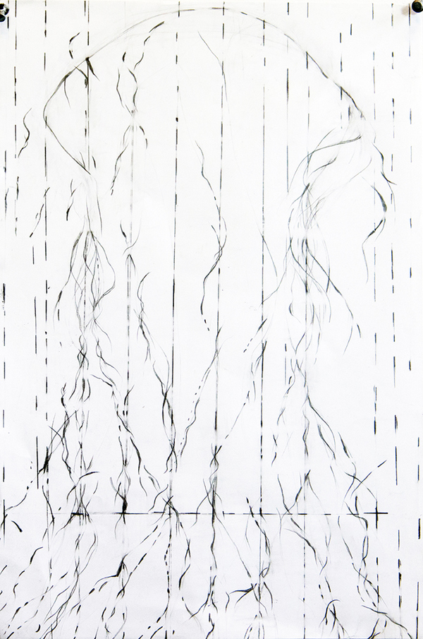 Disappearing Drawings Deborah Davidson Recent Work