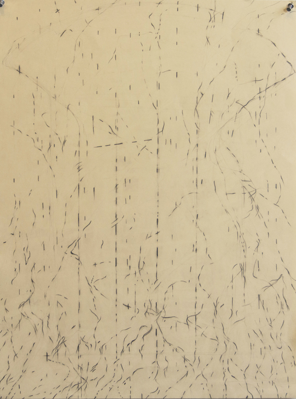 Disappearing Drawings Deborah Davidson Recent Work