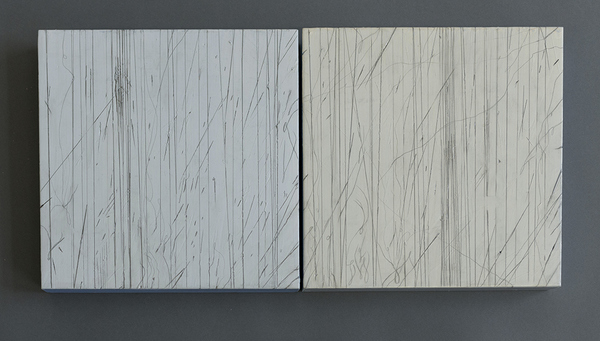 Disappearing Drawings Deborah Davidson Recent Work