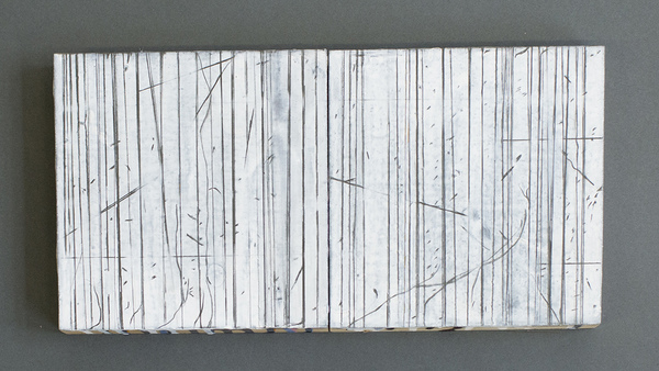 Disappearing Drawings Deborah Davidson Recent Work
