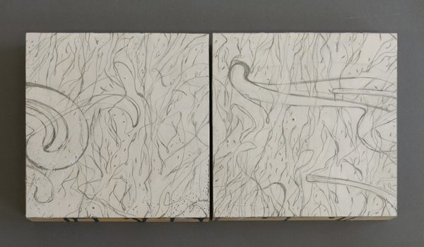 Disappearing Drawings Deborah Davidson Recent Work