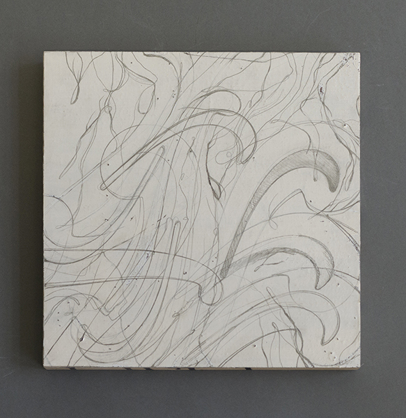 Disappearing Drawings Deborah Davidson Recent Work