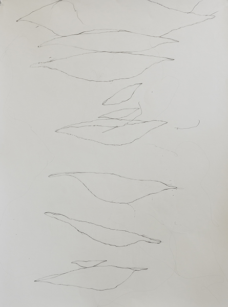 Disappearing Drawings Deborah Davidson Recent Work