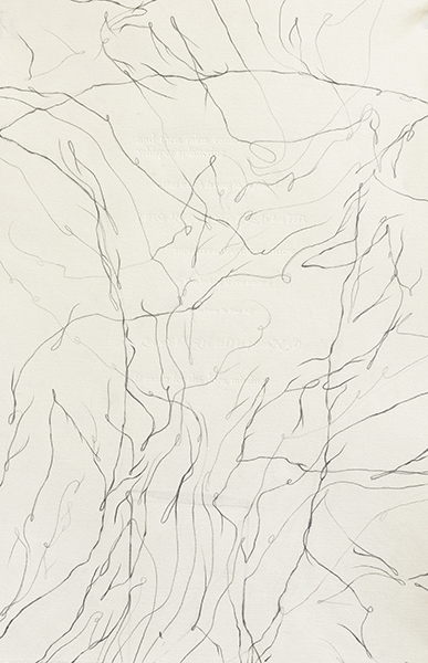Disappearing Drawings Deborah Davidson Recent Work