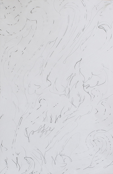 Disappearing Drawings Deborah Davidson Recent Work