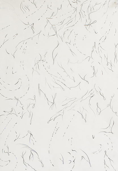 Disappearing Drawings Deborah Davidson Recent Work