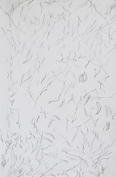 Disappearing Drawings Deborah Davidson Recent Work