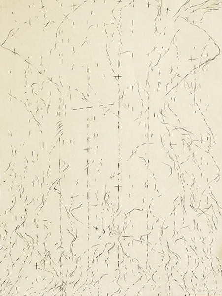 Disappearing Drawings Deborah Davidson Recent Work