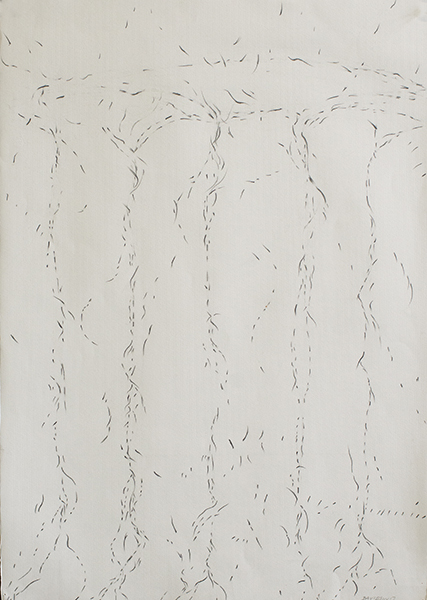 Disappearing Drawings Deborah Davidson Recent Work