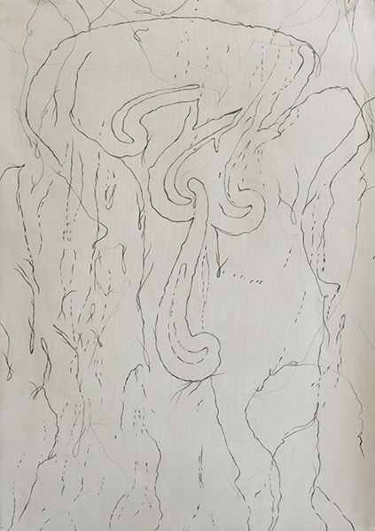 Disappearing Drawings Deborah Davidson Recent Work