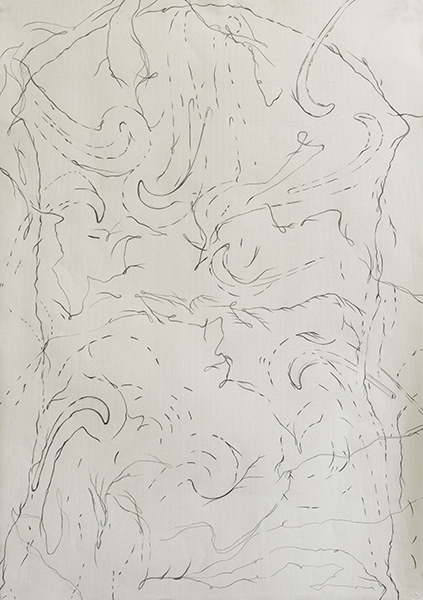 Disappearing Drawings Deborah Davidson Recent Work