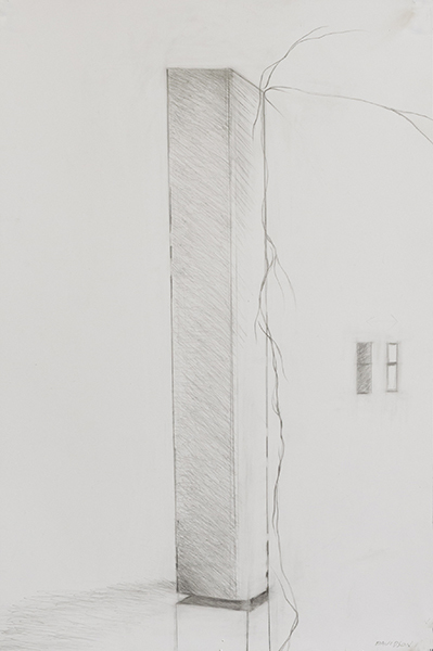 Disappearing Drawings Deborah Davidson Recent Work