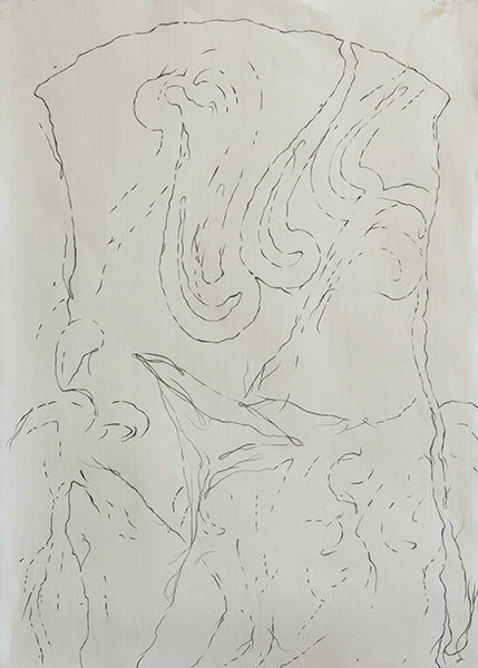 Disappearing Drawings Deborah Davidson Recent Work