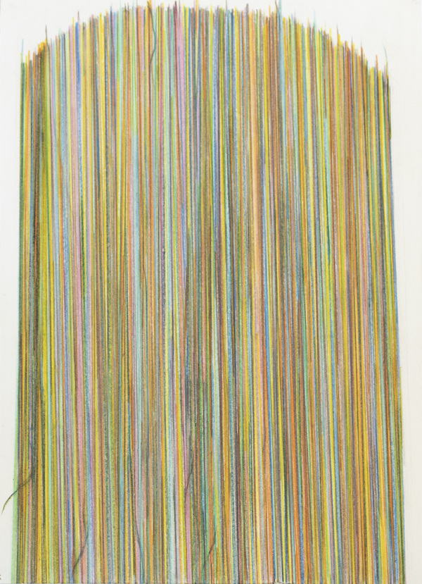 Disappearing Continued Deborah Davidson Recent Work Color pencil on handmade paper
