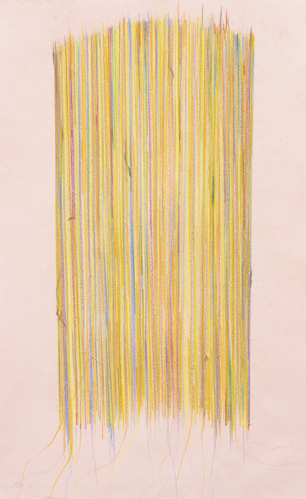 Disappearing Continued Deborah Davidson Recent Work Color pencil on handmade paper