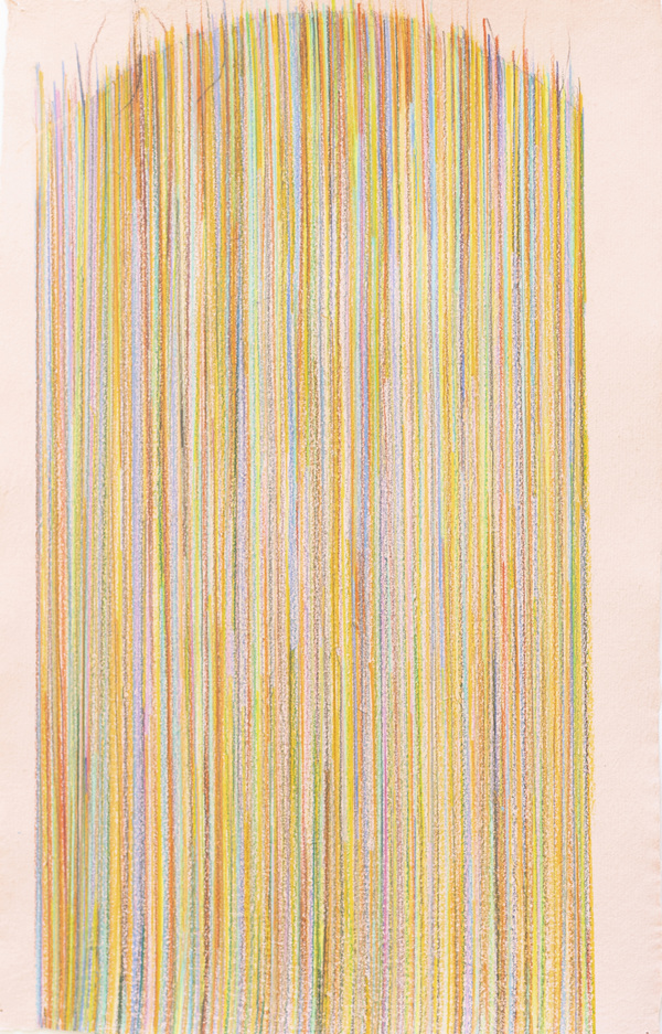 Disappearing Continued Deborah Davidson Recent Work Color pencil on handmade paper