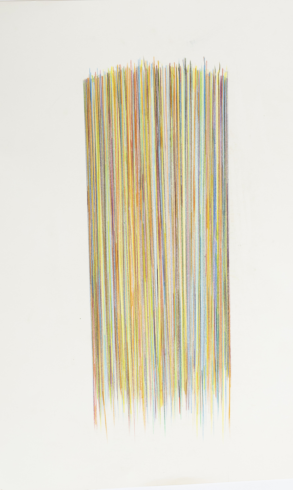 Disappearing Continued Deborah Davidson Recent Work Color pencil on handmade paper