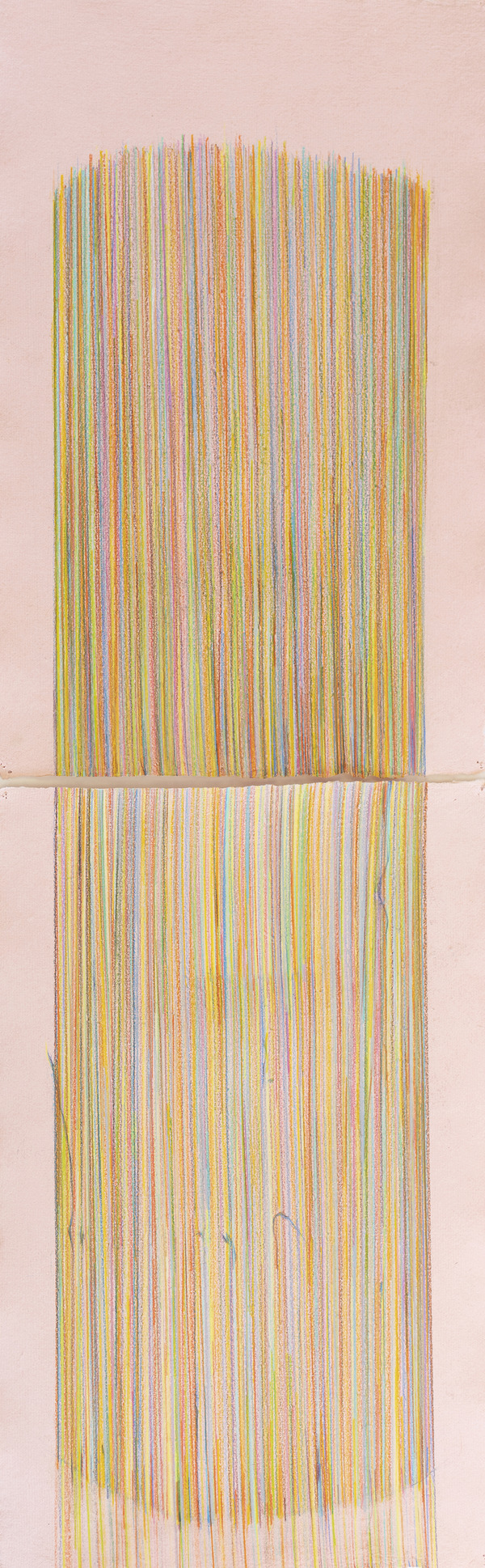 Disappearing Continued Deborah Davidson Recent Work Color pencil on handmade paper