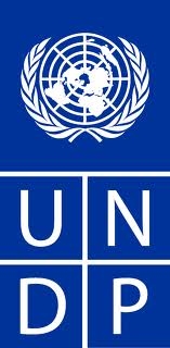 UNDP - BCPR Policy Work Consultant