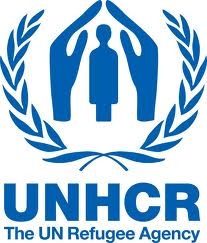 UNHCR Policy Work Consultant