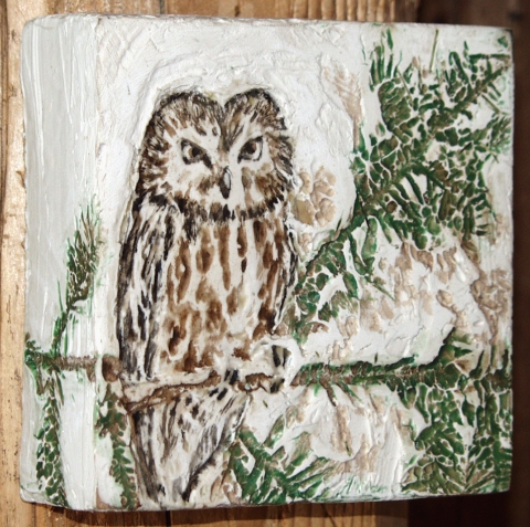 winter saw-whet owl Birds and Landscapes encaustic & mixed media on panel
