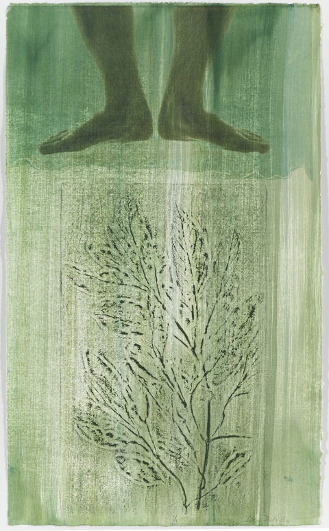 Feet above Sage Creatura Botanica: Human and Plant Forms Conjoined collagraph on ultrachrome photo print on cotton