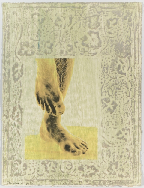 Pensive in Ochre Creatura Botanica: Human and Plant Forms Conjoined Ultrachrome photo print & collagraph on 100% cotton rag