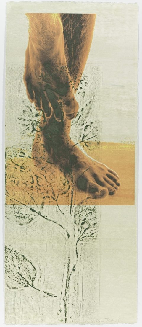 Pensive with Sunflower Creatura Botanica: Human and Plant Forms Conjoined Ultrachrome photo print & collagraph on 100% cotton rag