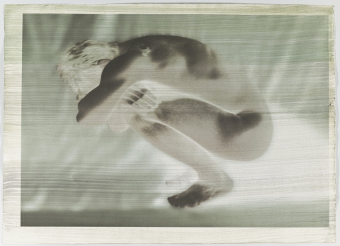Grieve Creatura Botanica: Human and Plant Forms Conjoined Ultrachrome photo print on 100% cotton rag