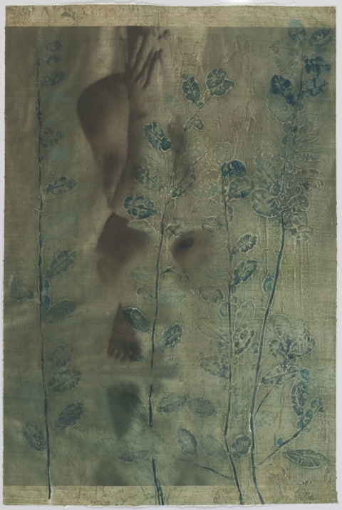 Hiding Quince II Creatura Botanica: Human and Plant Forms Conjoined collagraph on cotton ultrachrome photo print mounted on stretched canvas