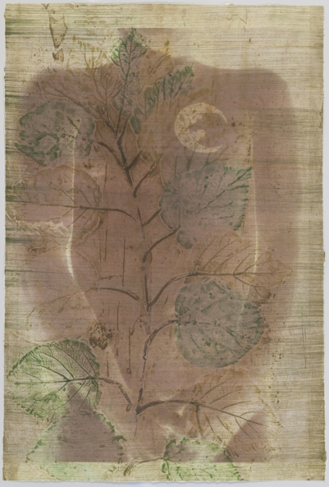 Pausing Hydrangea III Creatura Botanica: Human and Plant Forms Conjoined collagraph on cotton ultrachrome photo print mounted on stretched canvas
