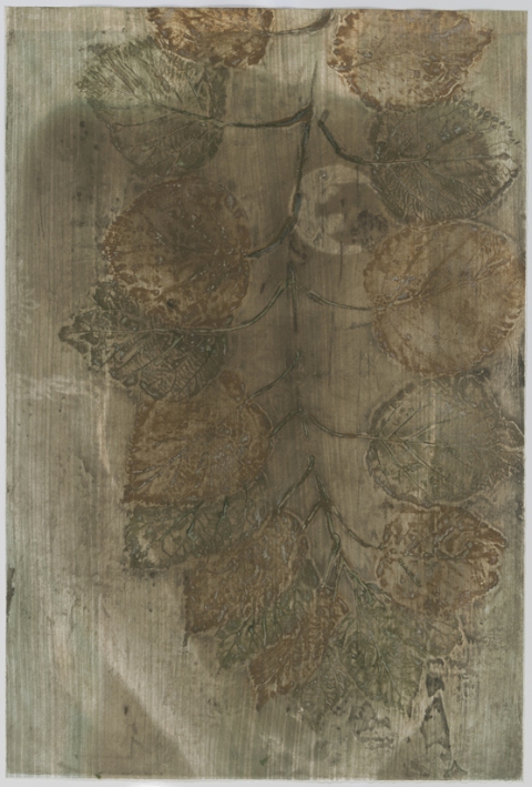 Pausing Hydrangea I Creatura Botanica: Human and Plant Forms Conjoined collagraph on cotton ultrachrome photo print