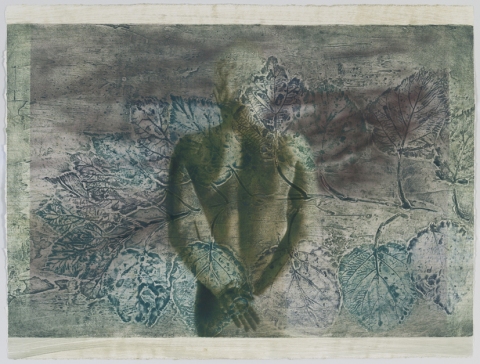 Pondering Hydrangea I Creatura Botanica: Human and Plant Forms Conjoined collagraph on cotton ultrachrome photo print