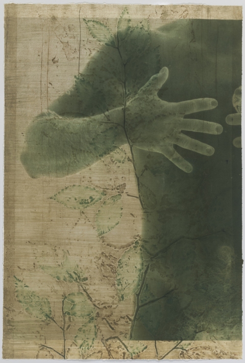 Promising Beech III Creatura Botanica: Human and Plant Forms Conjoined collagraph on cotton ultrachrome photo print mounted on stretched canvas